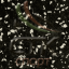 EVERLAST ECOnights толщина 8 мм ширина 122 см