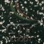 EVERLAST ECOnights толщина 8 мм ширина 122 см
