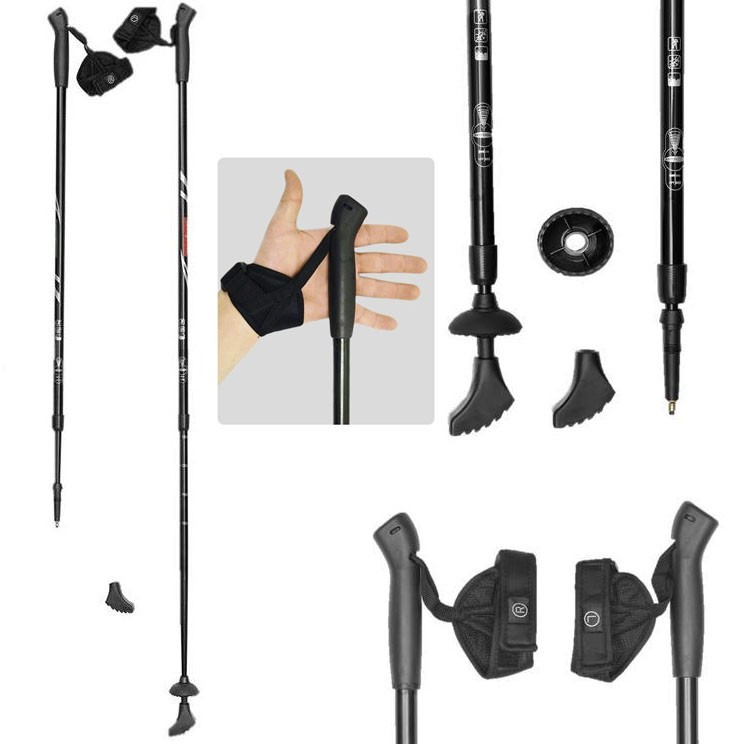 Палки для скандинавской ходьбы Ergo-50