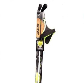 Лыжные палки Avanti карбон 170