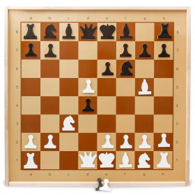 Демонстрационные шахматы магнитные 73х73х3,5 сантиметров